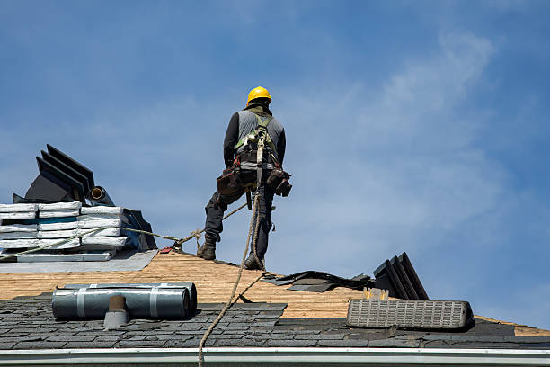 Professional Roofing technician working in Hyde Park, PA